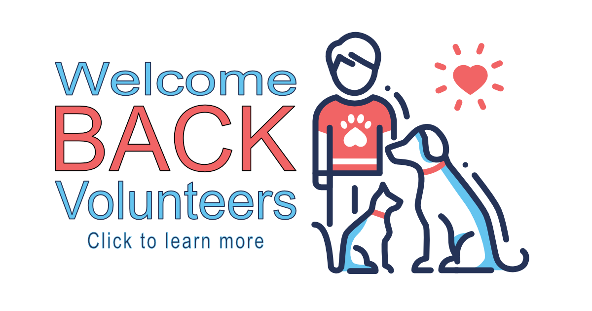 Welcome Back Volunteers image